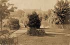 Dane Park Bridge  1909  | Margate History